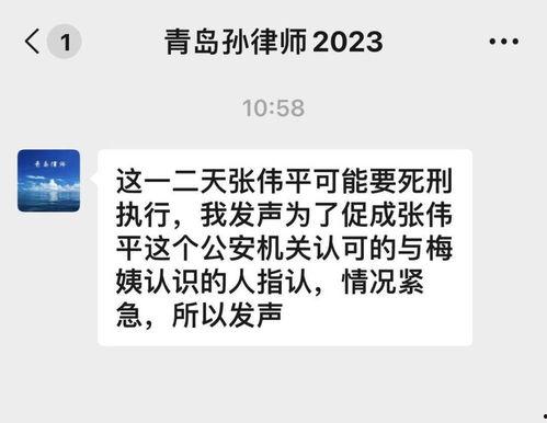 律师爆料梅姨是真的吗视频,视频证据揭示惊人内幕