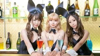 日本酒吧 番号 店员