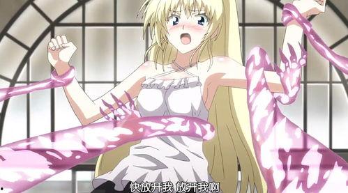 触手美女无码 magnet,触手美女无码磁力链接背后的秘密