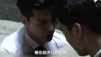 免费叨嘿视频日本,揭秘日本短视频的魅力与流行趋势