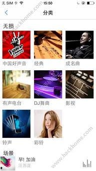 秘果手机在线播放,揭秘在线播放的视听盛宴