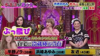 日本综艺偶像 下载,揭秘明星背后的故事与魅力