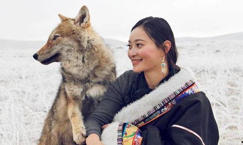 重返狼群 明星,明星与野性的深情邂逅