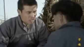 苦娘视频,揭示生活艰辛与母爱伟大