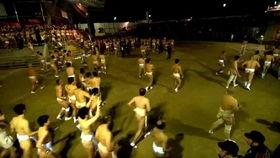 日本裸祭下载,一场裸体狂欢的神秘之旅
