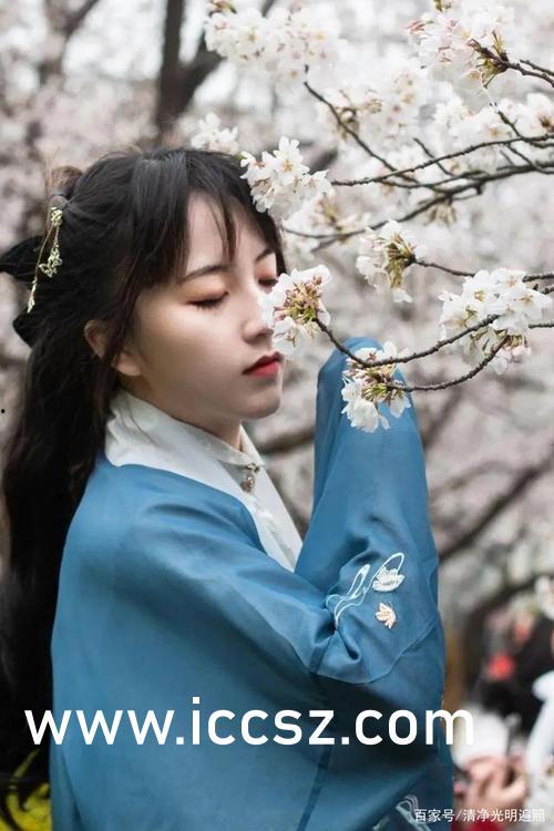 白蔷薇学院在线播放,青春校园的浪漫旋律